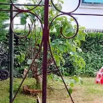 Avec Jardin شقة *