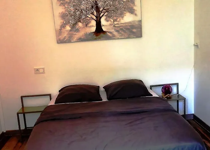 شقة Avec Jardin مْواساك